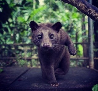 12424829_980852771985607_583859347_n