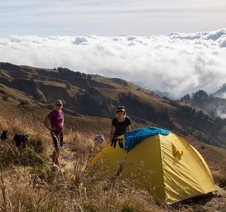 12446116_962902763802636_1724349150_n