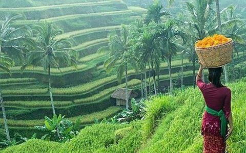 12479578_566823773481460_524374480_n