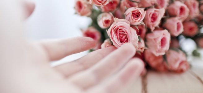 6981362-roses-flowers-pink-hand-girl